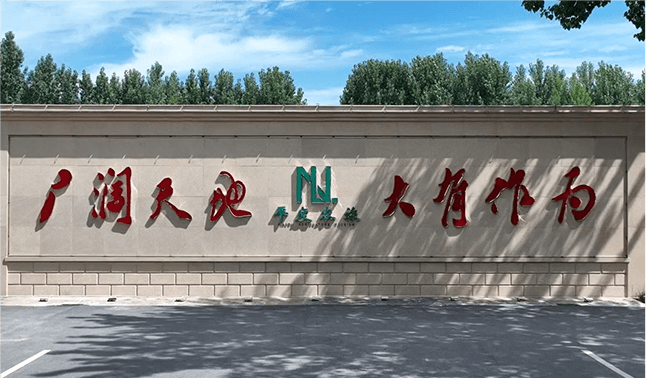 Pingdu Huiping Agriculture